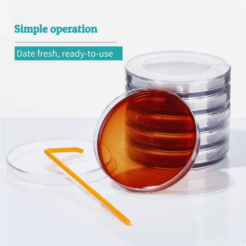Bioagar Plate Set TCBS Vibrio Aqua Plate Nutrient AGAR for Bacterial Microbial Culture