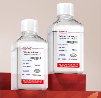 TAE Buffer for Nucleic Acid Agarose Gel Electrophoresis Tris-Acetic Acid-Edta Acetate Boric Acid