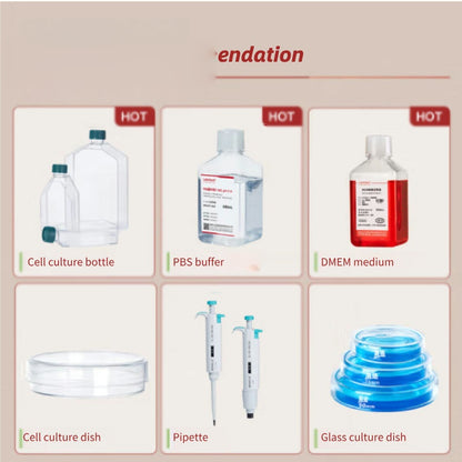 TAE Buffer for Nucleic Acid Agarose Gel Electrophoresis Tris-Acetic Acid-Edta Acetate Boric Acid