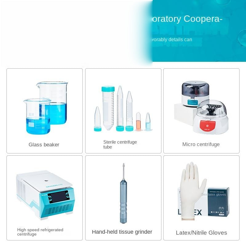 High-Speed Handheld Laboratory Disperser Emulsified Tissue Mixer for Homogenizing