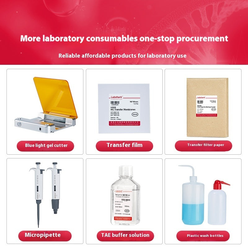 Horizontal Vertical Electrophoresis Agarose Gel Transfer Tank Glass for Laboratory Protein