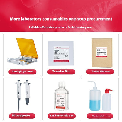 Horizontal Vertical Electrophoresis Agarose Gel Transfer Tank Glass for Laboratory Protein