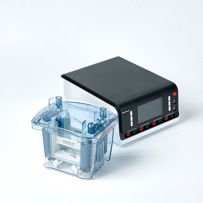 Horizontal/Vertical/Transfer Electrophoresis Apparatus