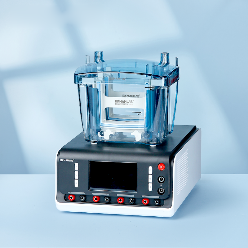 Horizontal/Vertical/Transfer Electrophoresis Apparatus