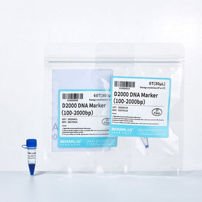 DNA Marker/Ladder