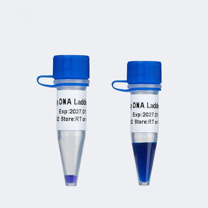 DNA Marker/Ladder