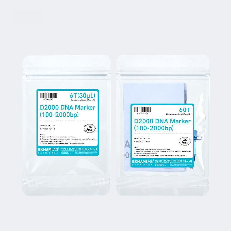 DNA Marker/Ladder