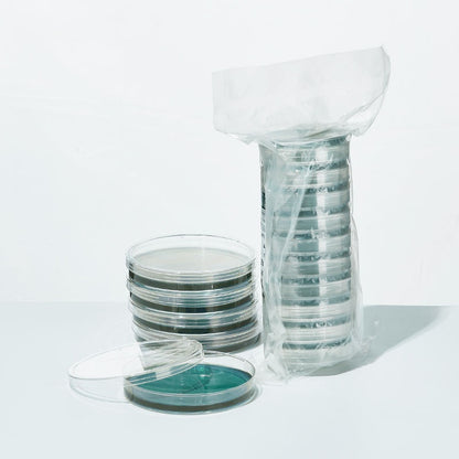 Lab Reagent Tcbs Agar Plate