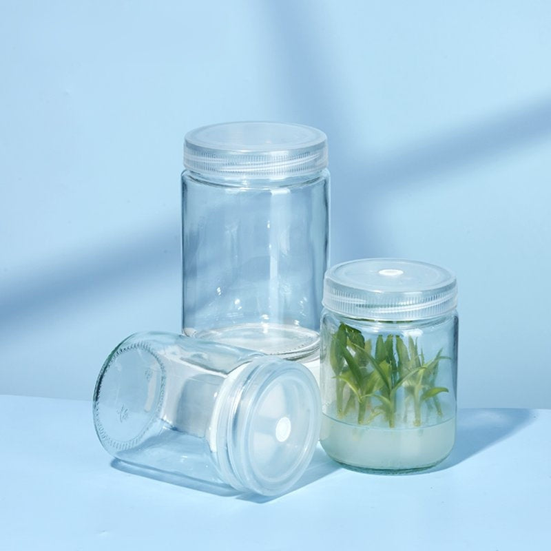 Glass Tissue Culture Bottles/Plant Glass Jar with Plastic Breathable Lid/Sealing Lid, 240-1000ml