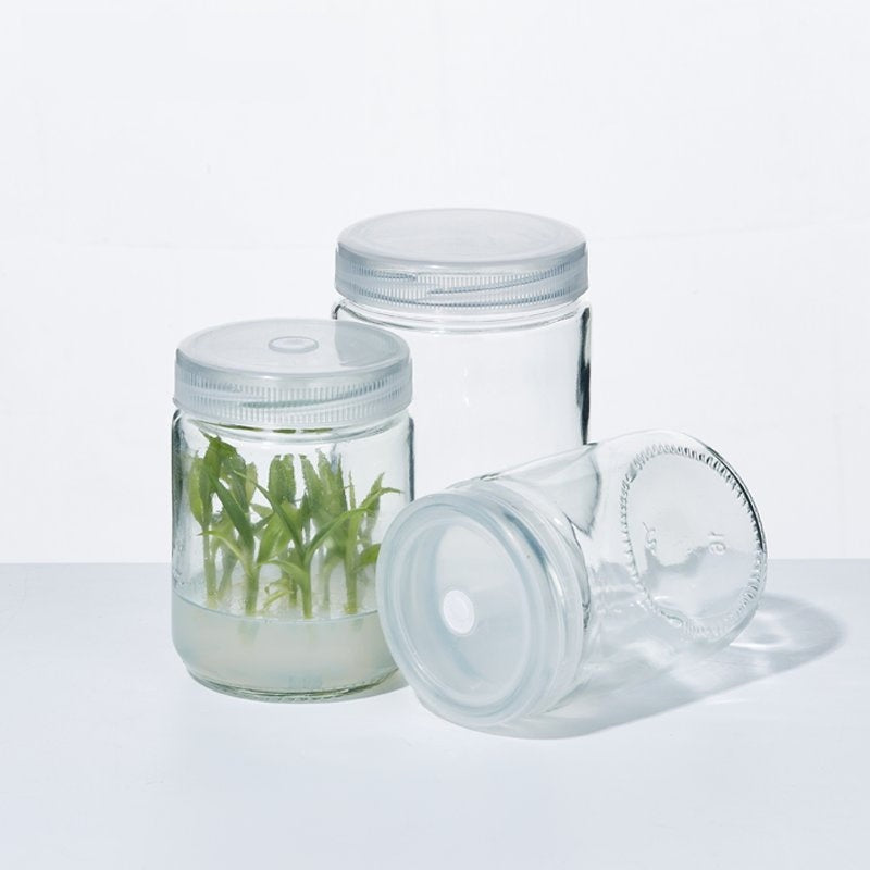 Glass Tissue Culture Bottles/Plant Glass Jar with Plastic Breathable Lid/Sealing Lid, 240-1000ml