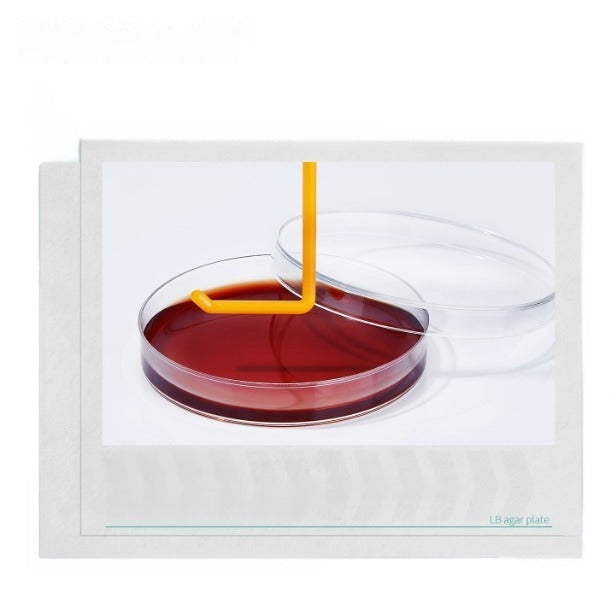 Biological Nutrition Agar Plate LB Medium TCBS Macconkey TSA Microbial Bacterial Petri Dish EO