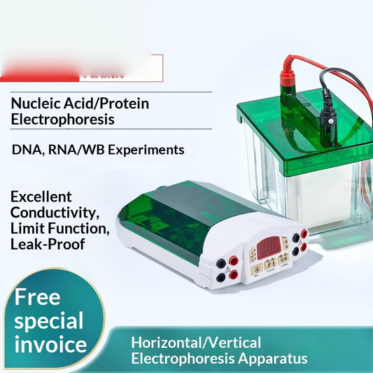 Horizontal Vertical Electrophoresis Instrument Agarose Gel WB Transfer Tank Timer Function No Tank