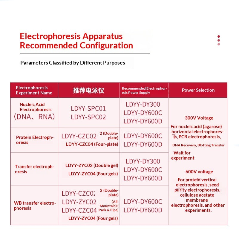 Horizontal Vertical Electrophoresis Instrument Agarose Gel WB Transfer Tank Timer Function No Tank