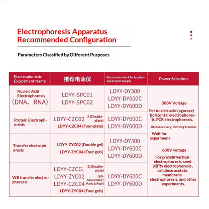 Horizontal Vertical Electrophoresis Instrument Agarose Gel WB Transfer Tank Timer Function No Tank