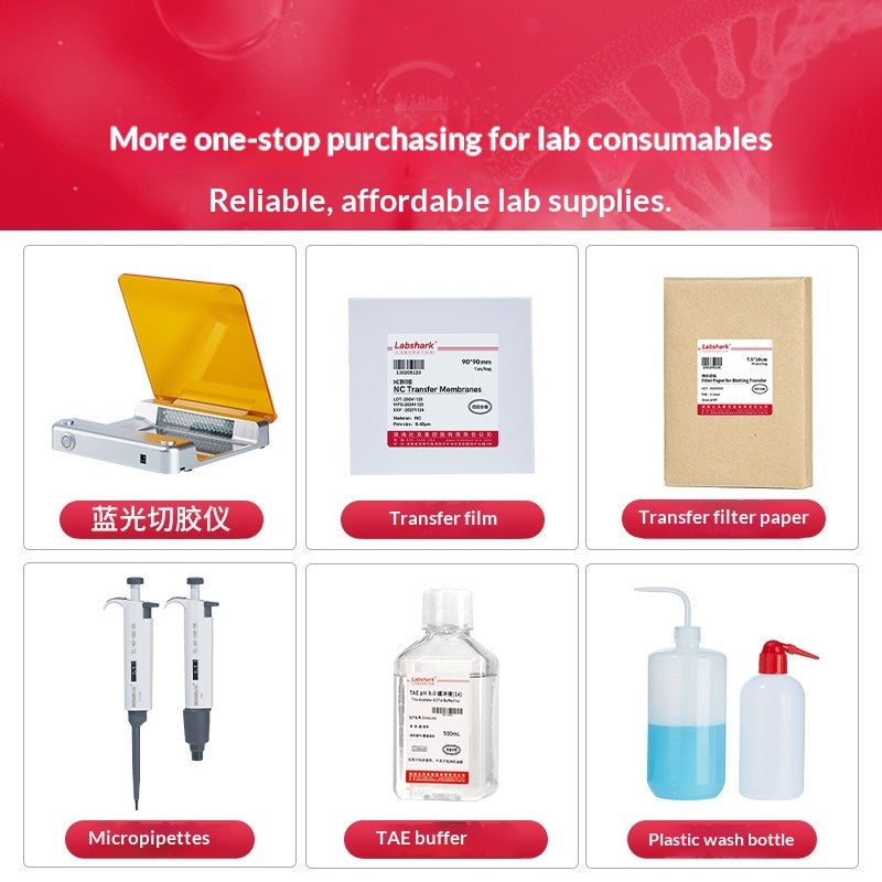 Horizontal Vertical Electrophoresis Instrument Agarose Gel WB Transfer Tank Timer Function No Tank