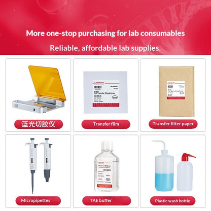 Horizontal Vertical Electrophoresis Instrument Agarose Gel WB Transfer Tank Timer Function No Tank