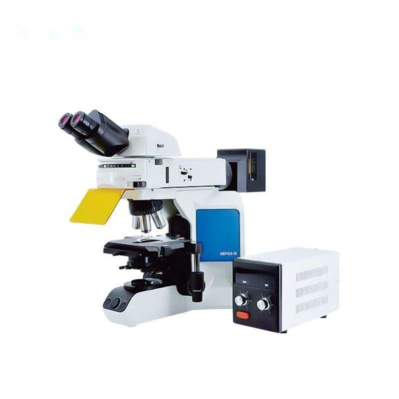 Fluorescence Microscope