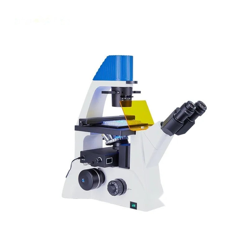 Fluorescence Microscope