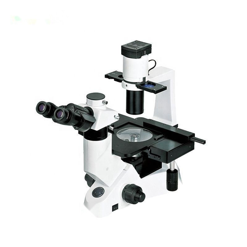 Inverted Microscope