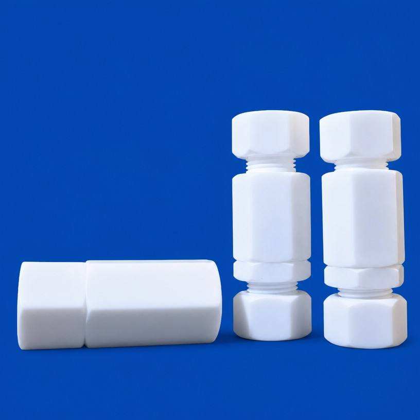 PTFE Check Valve (Non-Return)