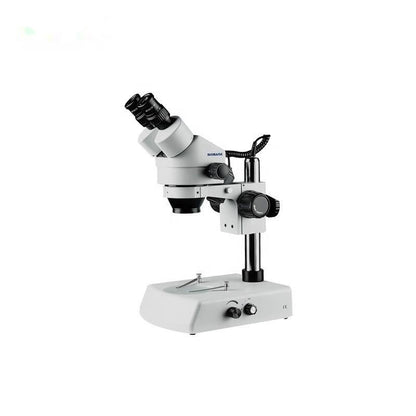 Stereo Microscope