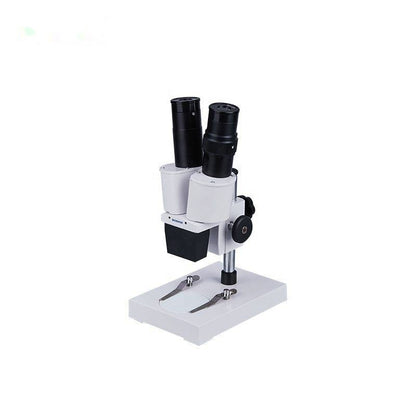 Stereo Microscope