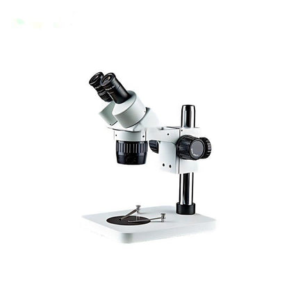 Stereo Microscope