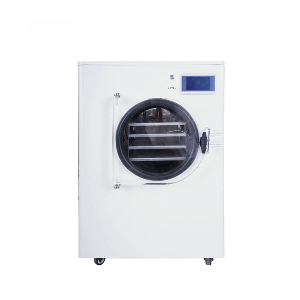 Vacuum Freeze Dryer (Lyophilizer)