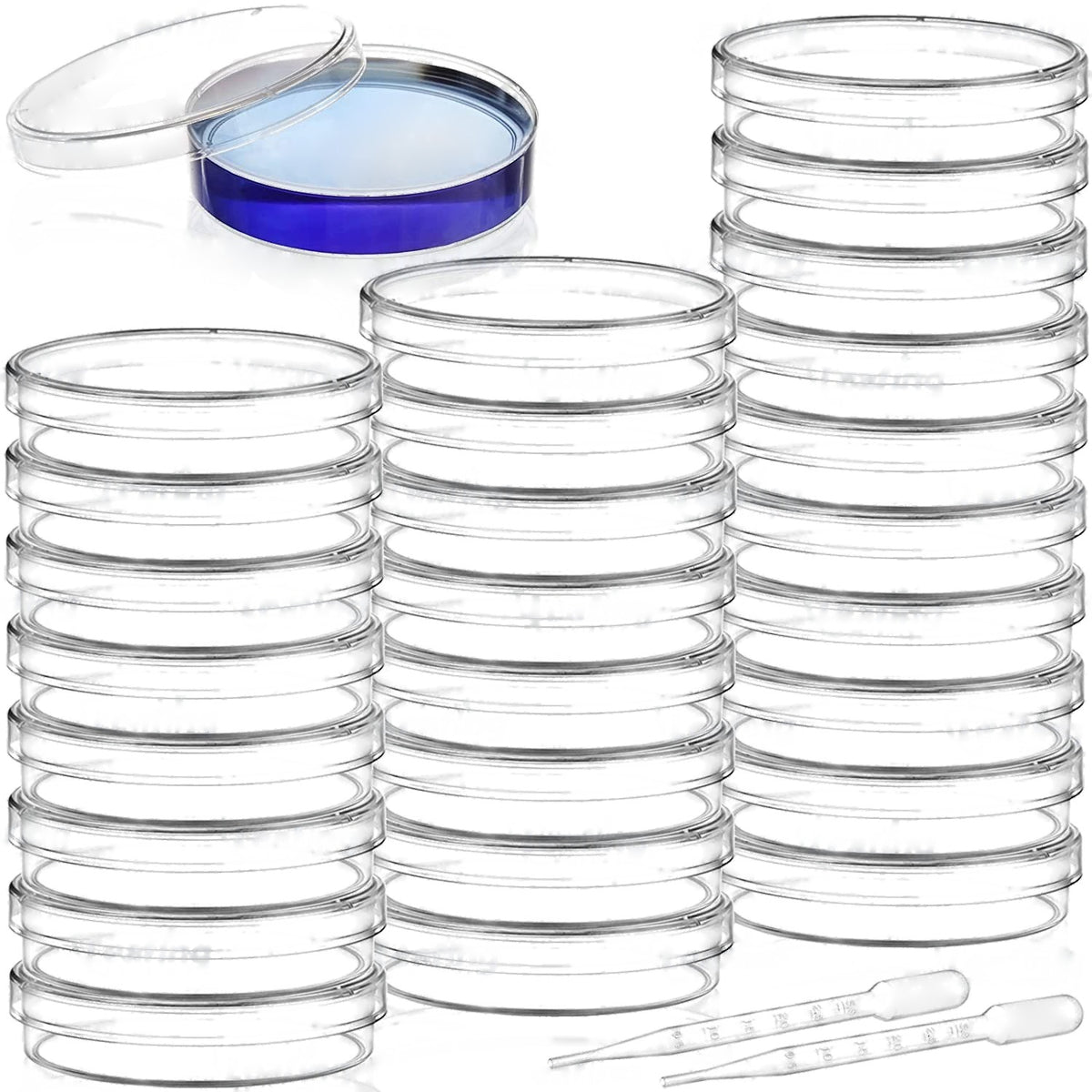 Lockable Petri Dish (60 mm)