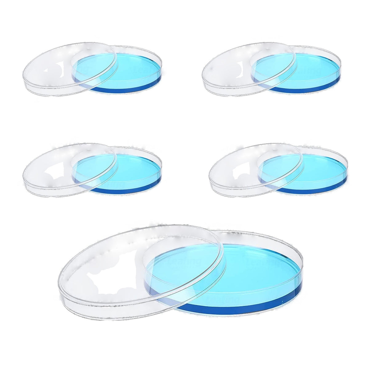 Disposable Plastic Petri Dishes (60 mm / 90 mm)