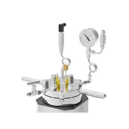 High Pressure Reactor ALAB-HT-250FC