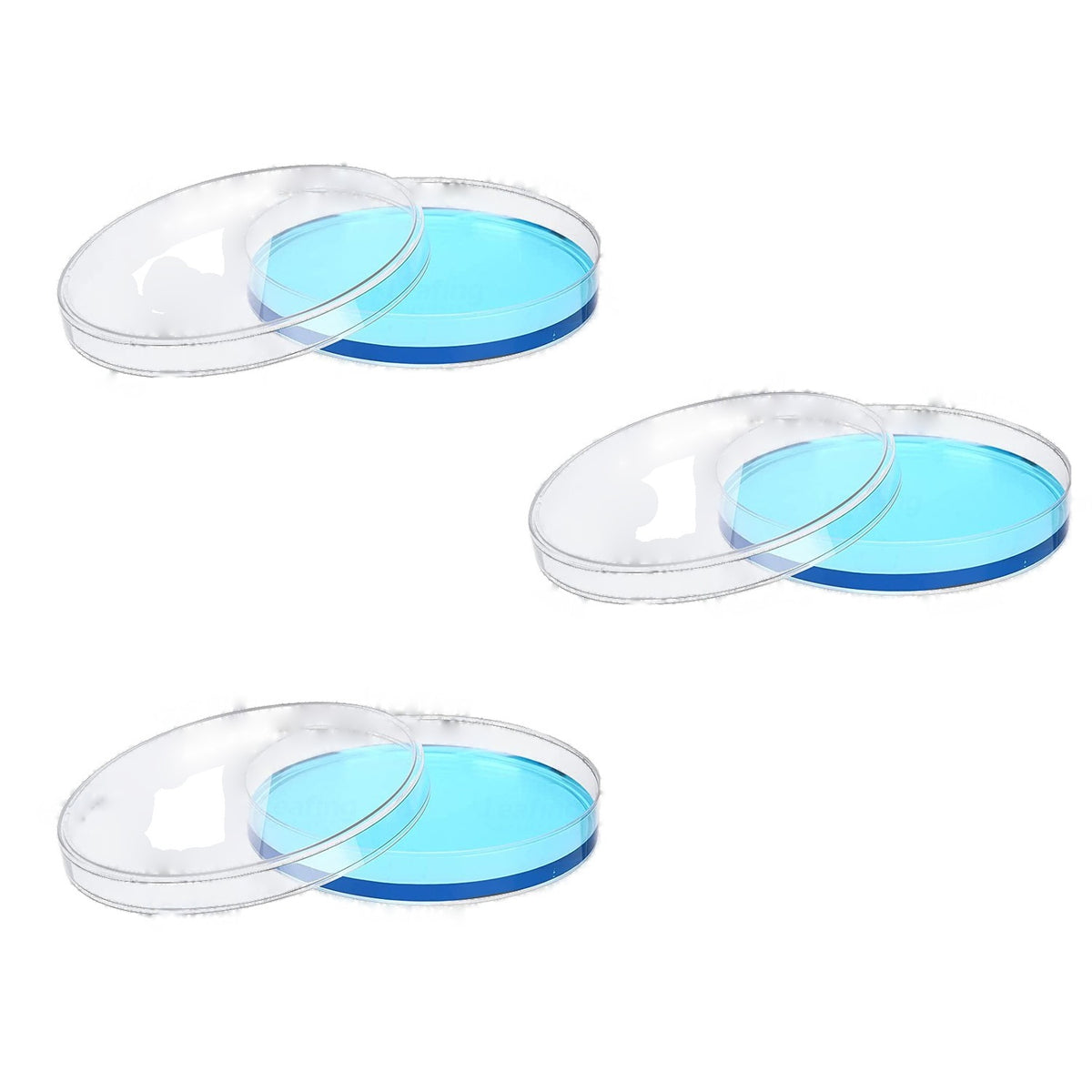 Cell Culture Dish, 90 mm (PS)
