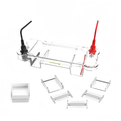LF-midiDNA / LF-miniDNA Horizontal Electrophoresis Cell