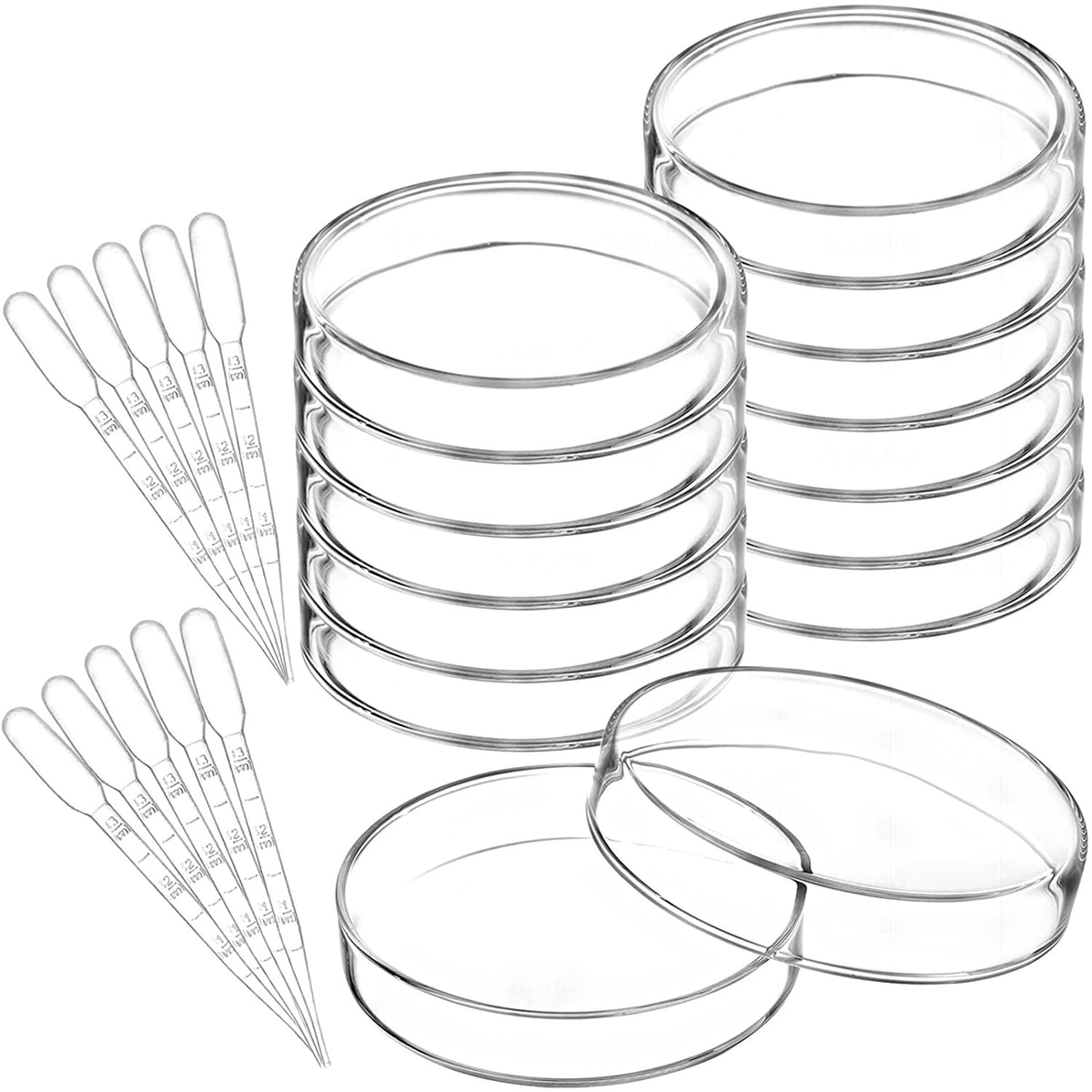 Glass Petri Dishes (35 / 60 / 100 / 150 mm)