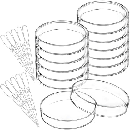 Glass Petri Dishes (35 / 60 / 100 / 150 mm)