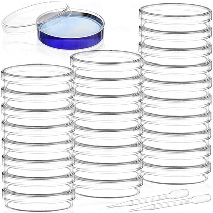 Disposable Plastic Petri Dish, 60 mm
