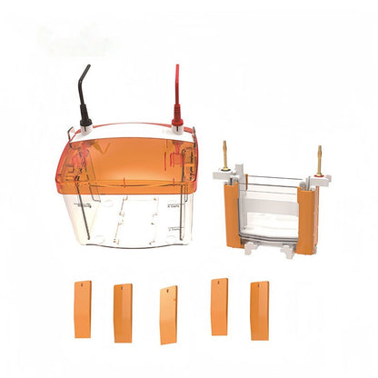 LF-multiPRO2 Mini Vertical Electrophoresis Cell (10111002)