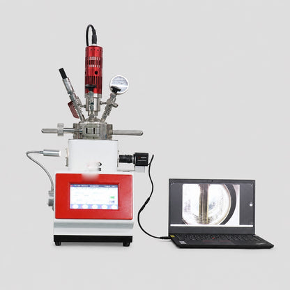High Pressure Reactor ALAB-HT-250FJ-1P3T3S6F-CSC