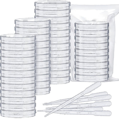 Disposable Plastic Petri Dishes (60 mm / 90 mm)