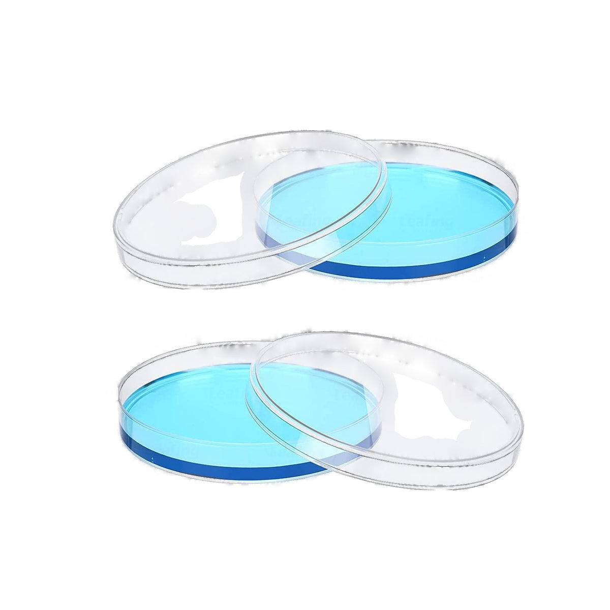 Lockable Petri Dish (60 mm)