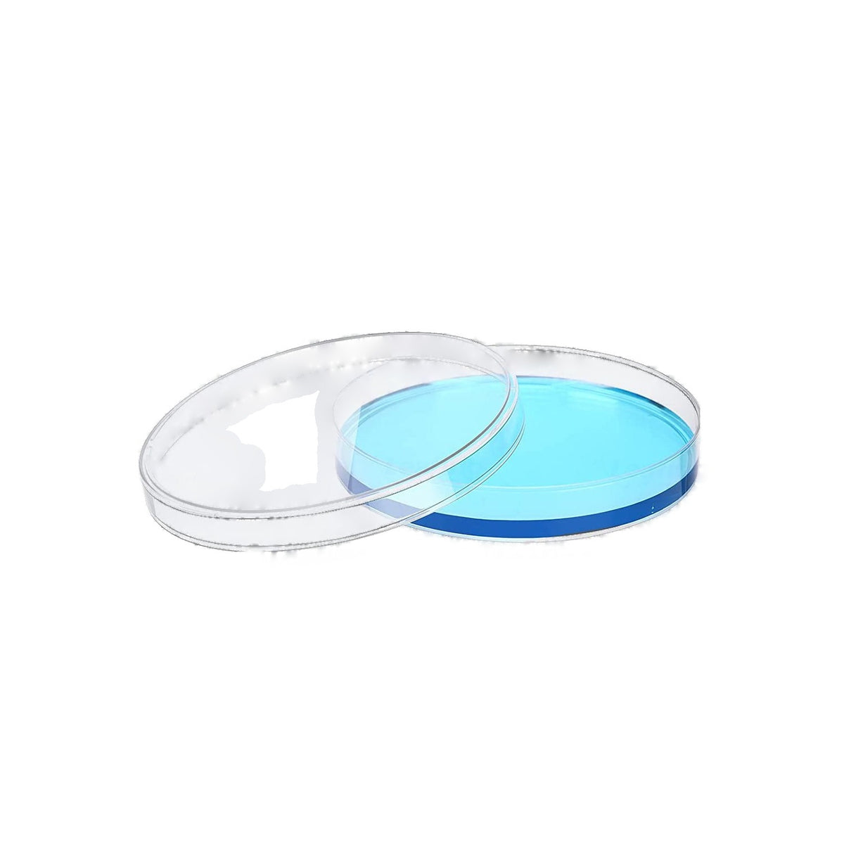 Disposable Plastic Petri Dishes (60 mm / 90 mm)