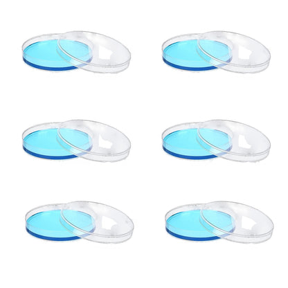 Disposable Plastic Petri Dishes (60 mm / 90 mm)