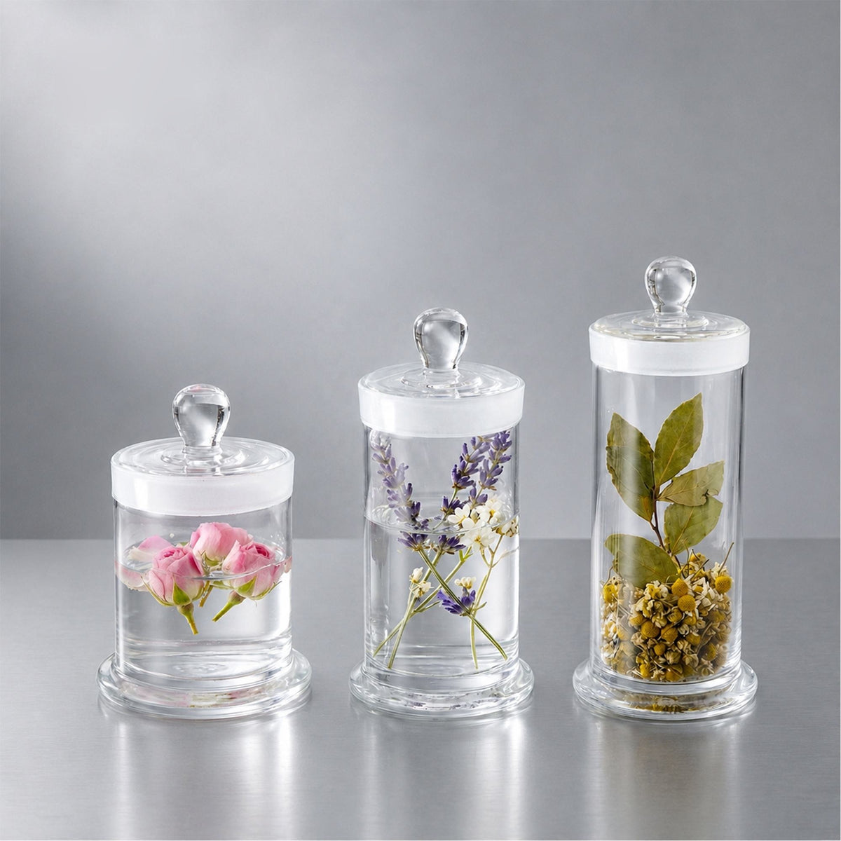 Glass Specimen Jar
