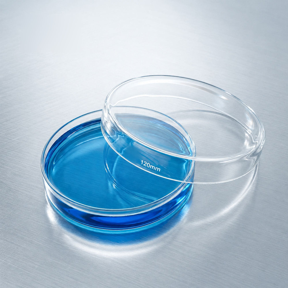 PTFE Petri Dish (A05001)