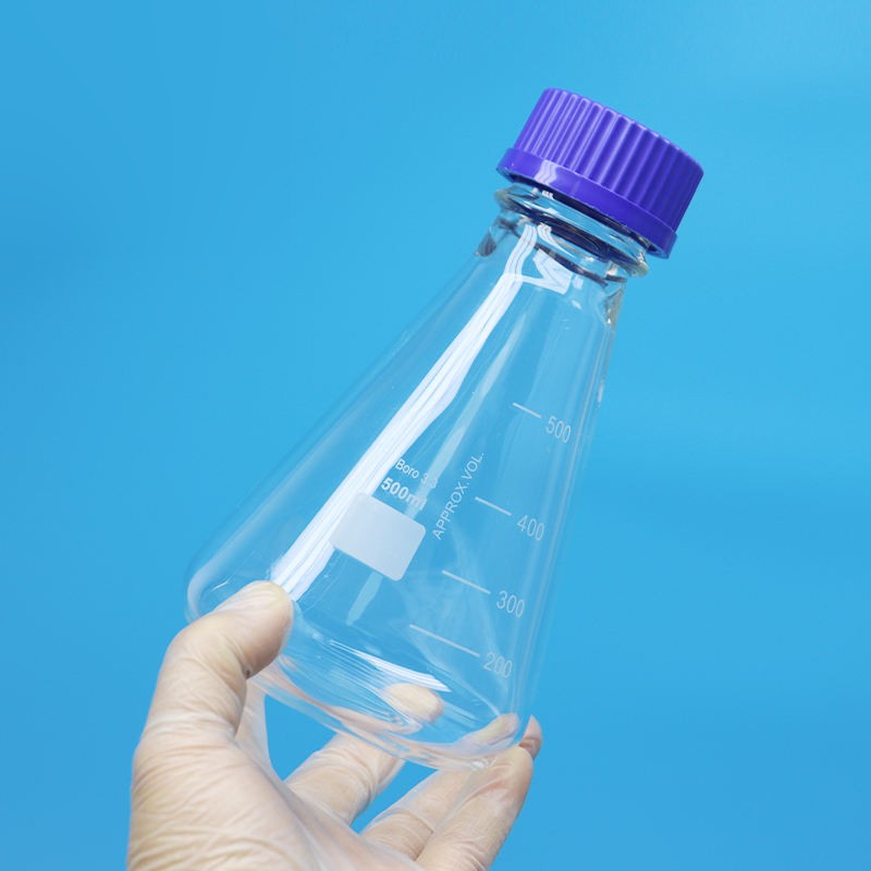 Erlenmeyer flask with blue screw cap