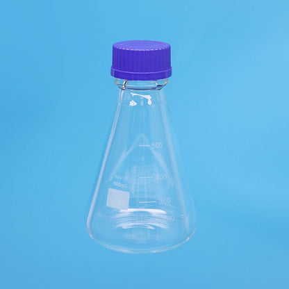 Erlenmeyer flask with blue screw cap