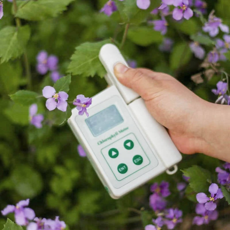 Chlorophyll Meter