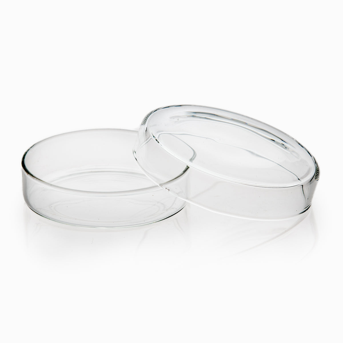 Glass Petri Dish