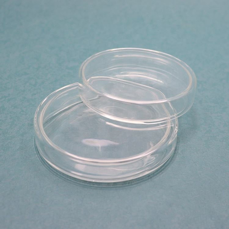 Glass Petri Dish with Lid