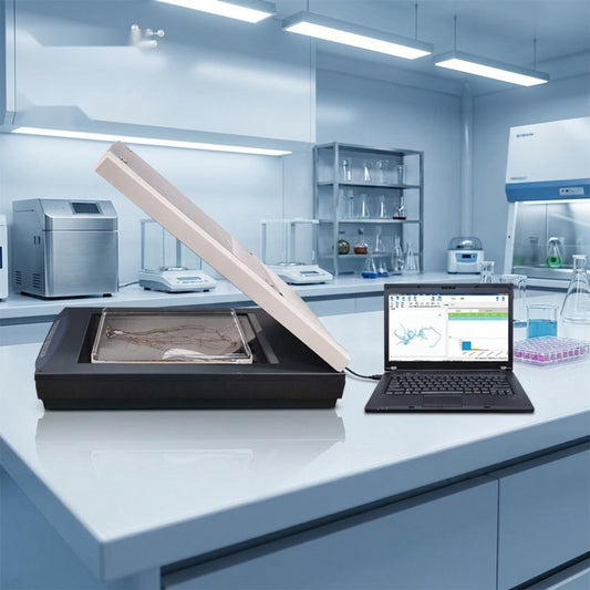 Root Scanner